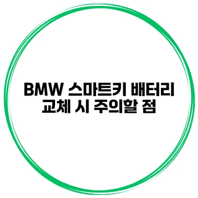 BMW 스마트키 배터리 교체 시 주의할 점