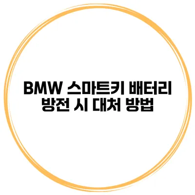 BMW 스마트키 배터리 방전 시 대처 방법