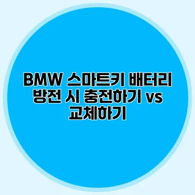 BMW 스마트키 배터리 방전 시 충전하기 vs 교체하기