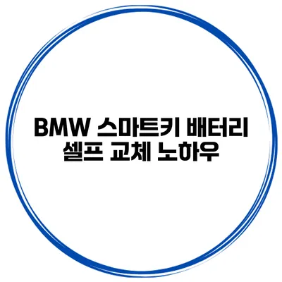 BMW 스마트키 배터리 셀프 교체 노하우