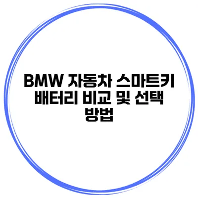 BMW 자동차 스마트키 배터리 비교 및 선택 방법