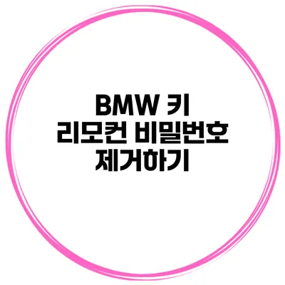 BMW 키 리모컨 비밀번호 제거하기