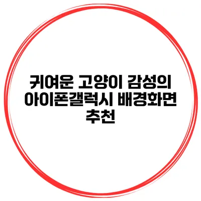 귀여운 고양이 감성의 아이폰/갤럭시 배경화면 추천