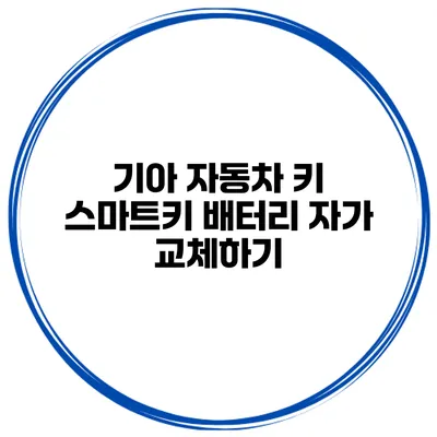 기아 자동차 키 스마트키 배터리 자가 교체하기