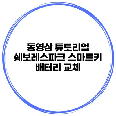 동영상 튜토리얼 쉐보레스파크 스마트키 배터리 교체
