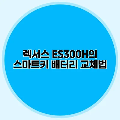 렉서스 ES300H의 스마트키 배터리 교체법