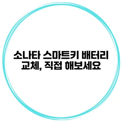 소나타 스마트키 배터리 교체, 직접 해보세요
