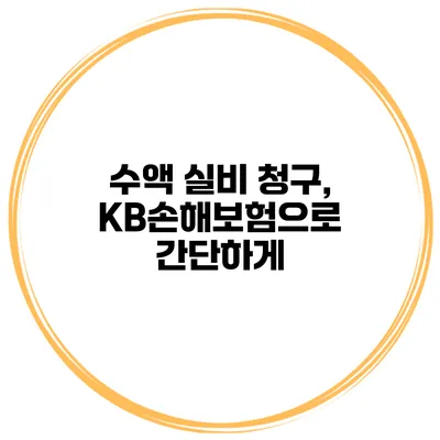 수액 실비 청구, KB손해보험으로 간단하게