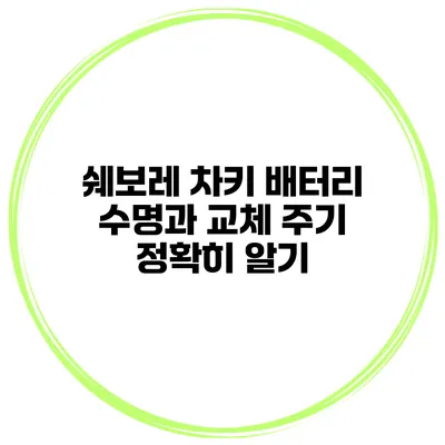쉐보레 차키 배터리 수명과 교체 주기 정확히 알기