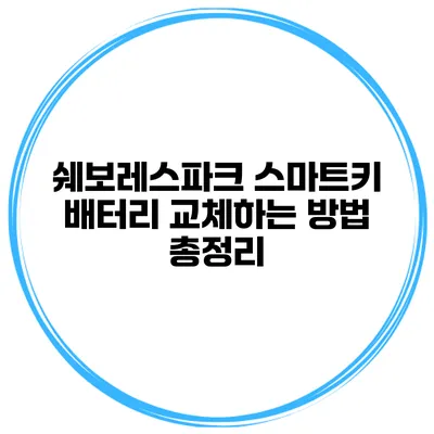 쉐보레스파크 스마트키 배터리 교체하는 방법 총정리
